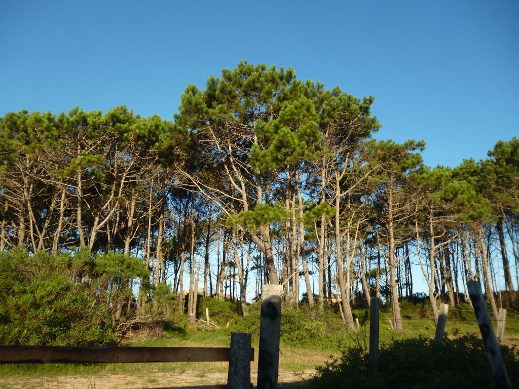 Cabanas Pietragalla 푼타 델 디아블로 외부 사진